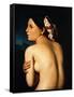 Nude Woman Displaying her Back, 1807-Jean-Auguste-Dominique Ingres-Framed Stretched Canvas