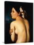 Nude Woman Displaying her Back, 1807-Jean-Auguste-Dominique Ingres-Stretched Canvas