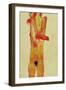 Nude Woman Iwith Folded Arms, 1910-Egon Schiele-Framed Giclee Print