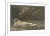 Nude Woman on Grass with Hedges-null-Framed Premium Giclee Print