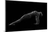 Nude woman with tattoos in yoga pose against black background-Panoramic Images-Mounted Photographic Print