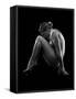 Nude woman with tattoos posing against black background-Panoramic Images-Framed Stretched Canvas