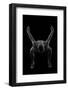 Nude woman with tattoos posing-Panoramic Images-Framed Photographic Print