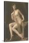 Nude Woman with Wrap-null-Stretched Canvas