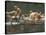 Nude Young Man on Dock, Enjoying Skinny Dipping in River at Woodstock Music and Art Festival-Bill Eppridge-Stretched Canvas