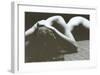 Nude-Alain Daussin-Framed Art Print