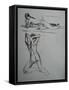 Nudes of Female-Nobu Haihara-Framed Stretched Canvas