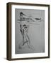 Nudes of Female-Nobu Haihara-Framed Giclee Print