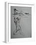 Nudes of Female-Nobu Haihara-Framed Giclee Print
