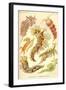 Nudibranch Gastropod Mollusks-Ernst Haeckel-Framed Art Print