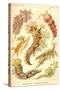 Nudibranch Gastropod Mollusks-Ernst Haeckel-Stretched Canvas