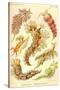 Nudibranch Gastropod Mollusks-Ernst Haeckel-Stretched Canvas