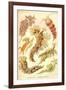 Nudibranch Gastropod Mollusks-Ernst Haeckel-Framed Art Print