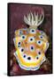 nudibranch on a coral reef, thailand-alex mustard-Framed Stretched Canvas