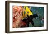 Nudibranch under the Sea, New Zealand-Charles Glover-Framed Art Print