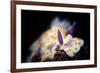 Nudibranche-Barathieu Gabriel-Framed Giclee Print