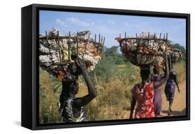 Nuer Women Carrying Sorghum, Gambella Region, Ilubador State, Ethiopia, Africa-Bruno Barbier-Framed Stretched Canvas