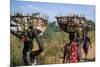 Nuer Women Carrying Sorghum, Gambella Region, Ilubador State, Ethiopia, Africa-Bruno Barbier-Mounted Photographic Print