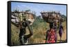 Nuer Women Carrying Sorghum, Gambella Region, Ilubador State, Ethiopia, Africa-Bruno Barbier-Framed Stretched Canvas