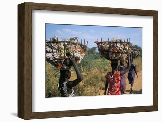 Nuer Women Carrying Sorghum, Gambella Region, Ilubador State, Ethiopia, Africa-Bruno Barbier-Framed Photographic Print