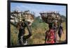 Nuer Women Carrying Sorghum, Gambella Region, Ilubador State, Ethiopia, Africa-Bruno Barbier-Framed Photographic Print