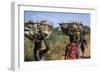 Nuer Women Carrying Sorghum, Gambella Region, Ilubador State, Ethiopia, Africa-Bruno Barbier-Framed Photographic Print