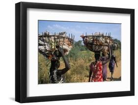 Nuer Women Carrying Sorghum, Gambella Region, Ilubador State, Ethiopia, Africa-Bruno Barbier-Framed Premium Photographic Print