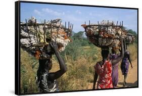 Nuer Women Carrying Sorghum, Gambella Region, Ilubador State, Ethiopia, Africa-Bruno Barbier-Framed Stretched Canvas