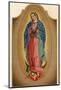 Nuestra Senora de Guadalupe Mexico Miraculously Imprinted-null-Mounted Photographic Print