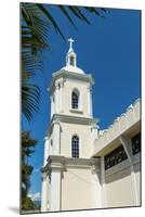 Nuestra Senora Del Rosario Cathedral Built in 1823 in This Progressive Northern Commercial City-Rob Francis-Mounted Photographic Print