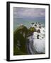 Nugget Point, Catlins, South Island, New Zealand-Doug Pearson-Framed Photographic Print