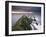 Nugget Point Lighthouse on the Coast and Overcast Sky, the Catlins, South Island, New Zealand-Gavin Hellier-Framed Photographic Print