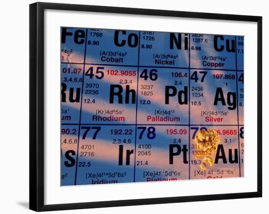 Nuggets of Gold on Periodic Table-David Nunuk-Framed Photographic Print