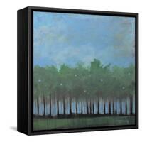 Nuggets of Truth Landscape-Tim Nyberg-Framed Stretched Canvas