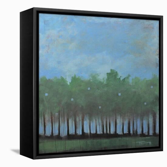 Nuggets of Truth Landscape-Tim Nyberg-Framed Stretched Canvas