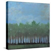 Nuggets of Truth Landscape-Tim Nyberg-Stretched Canvas