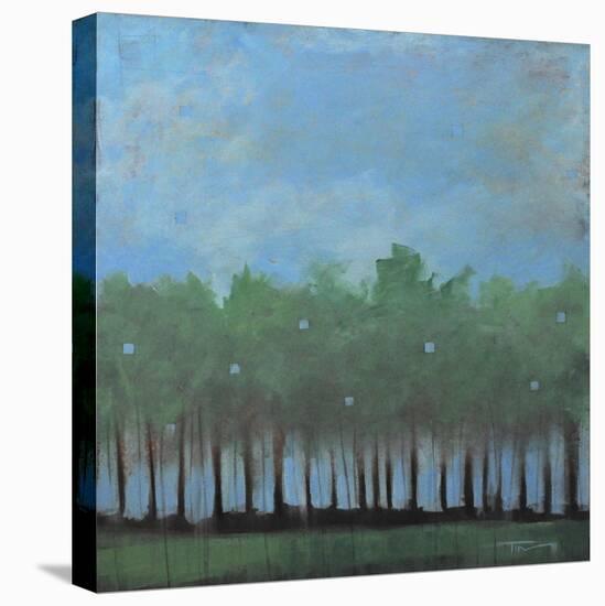 Nuggets of Truth Landscape-Tim Nyberg-Stretched Canvas