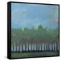 Nuggets of Truth Landscape-Tim Nyberg-Framed Stretched Canvas