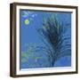 Nuit Calme-Anne Cote-Framed Giclee Print