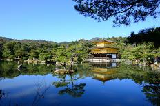 Kinkakuji Temple (The Golden Pavilion) in Kyoto, Japan-num_skyman-Stretched Canvas