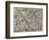 Number 1, 1950 (Lavender Mist), 1950-Jackson Pollock-Framed Art Print