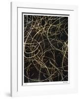 Number 10-Andrew Bedford-Framed Giclee Print