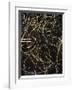 Number 10-Andrew Bedford-Framed Giclee Print