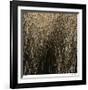 Number 11-Andrew Bedford-Framed Giclee Print