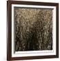 Number 11-Andrew Bedford-Framed Giclee Print