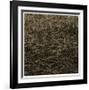 Number 12-Andrew Bedford-Framed Giclee Print