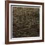 Number 12-Andrew Bedford-Framed Giclee Print