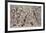 Number 28-Pollock Jackson-Framed Art Print