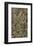 Number 3, 1949: Tiger, 1949-Jackson Pollock-Framed Art Print