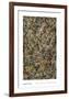 Number 3, 1949: Tiger, 1949-Jackson Pollock-Framed Art Print